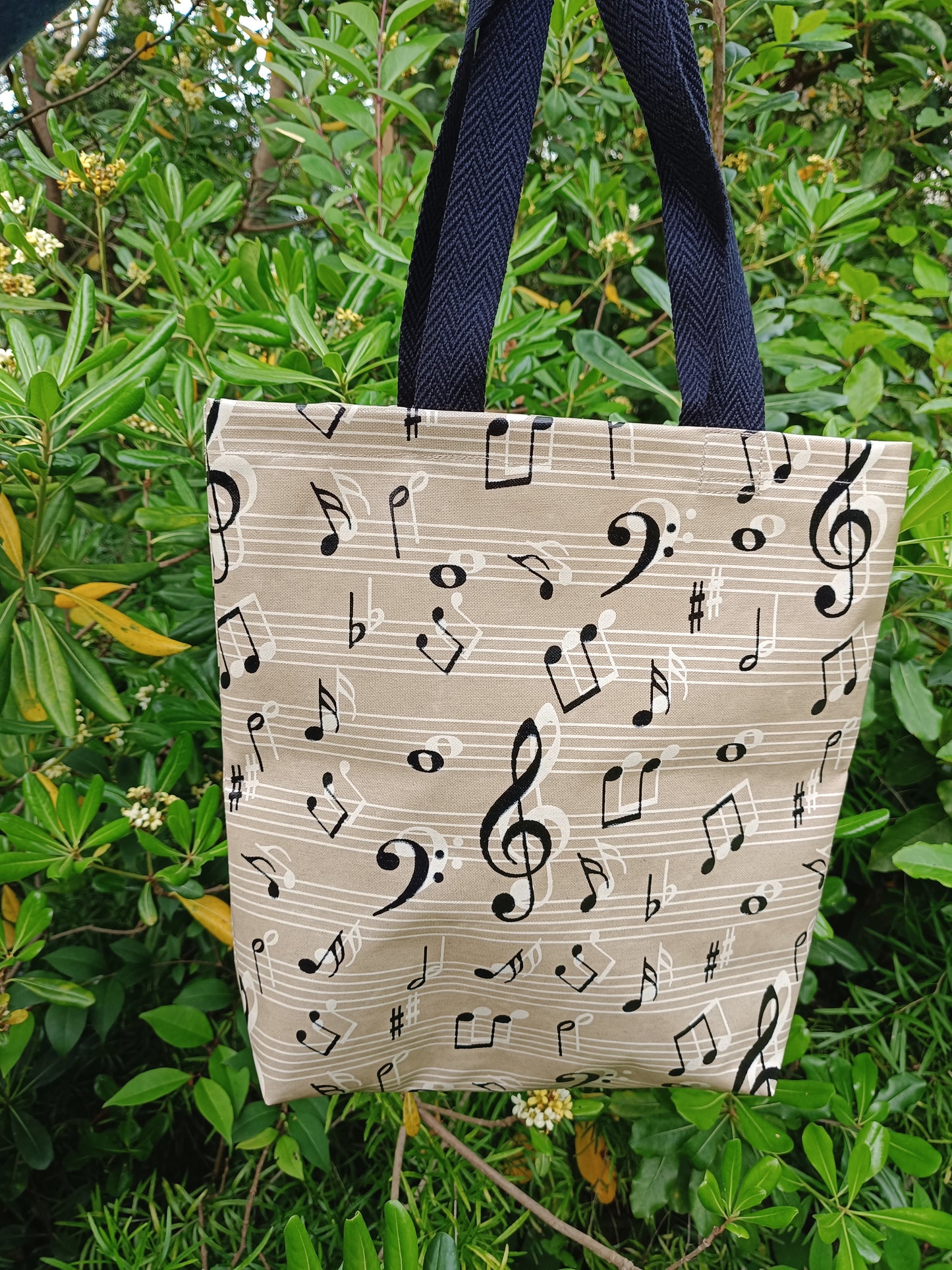 Tote bag plastificado | música